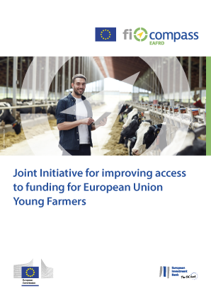 Joint Initiative For Improving Access To Funding For European