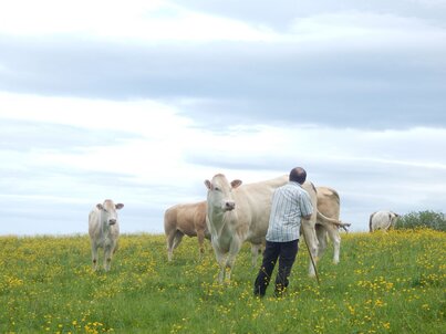 The Alter'NA guarantee fund - financing sustainable agriculture in Nouvelle-Aquitaine The Alter'NA guarantee fund - financing sustainable agriculture in Nouvelle-Aquitaine