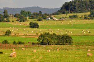 Financial instruments for rural Europe