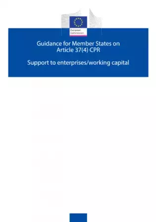 Guidance for Member States on Article 37(4) CPR, Support to enterprises/working capital