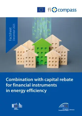 Combination with capital rebate for financial instruments in energy efficiency