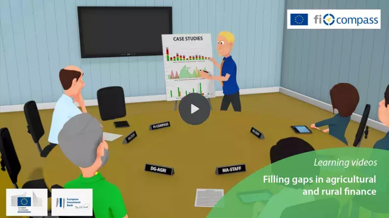 Filling gaps in agricultural and rural finance