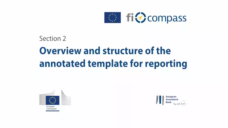 Section 2: Overview and structure of the annotated template for reporting