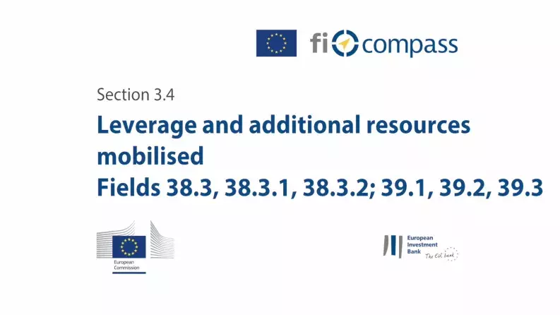 Section 3.4: Leverage and additional resources mobilised