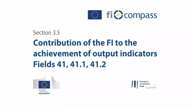 Section 3.5: Contribution of the FI to the achievement of output indicators