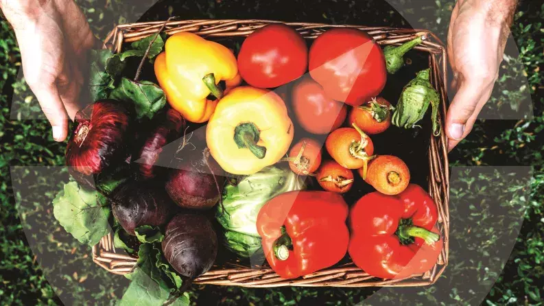 Addressing price volatility and financing needs of young farmers and agriculture