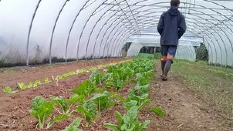 Nouvelle-Aquitaine: Cheaper and easier loans to help farmers transition to sustainable agriculture Nouvelle-Aquitaine: Cheaper and easier loans to help farmers transition to sustainable agriculture