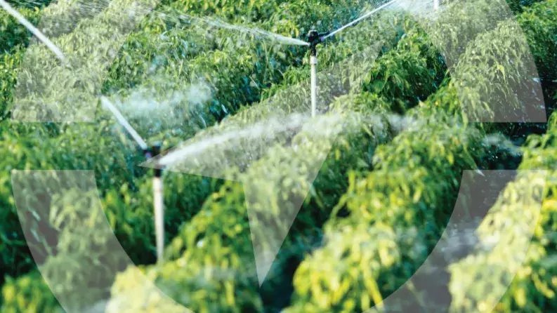 Fifth annual AGRI conference