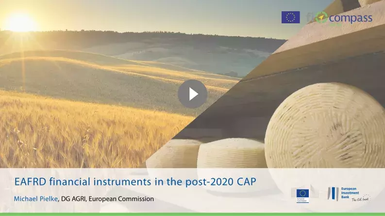 EAFRD financial instruments in the post-2020 CAP EAFRD financial instruments in the post-2020 CAP