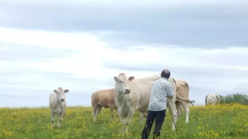 The Alter'NA guarantee fund - financing sustainable agriculture in Nouvelle-Aquitaine The Alter'NA guarantee fund - financing sustainable agriculture in Nouvelle-Aquitaine