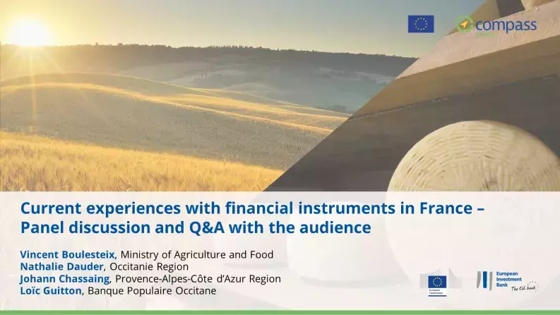 Panel discussion and Q&A with the audience – Current experiences with financial instruments in France Panel discussion and Q&A with the audience – Current experiences with financial instruments in France