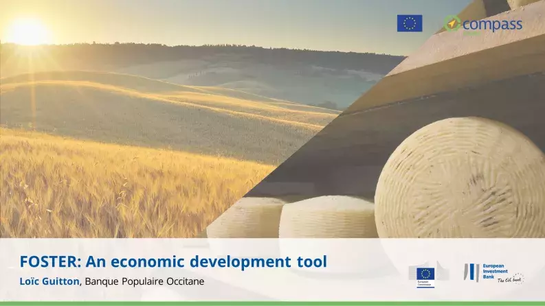 FOSTER: An economic development tool FOSTER: An economic development tool