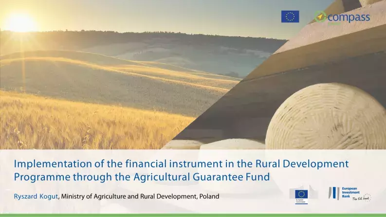 Implementation of the financial instrument in the Rural Development Programme through the Agricultural Guarantee Fund Implementation of the financial instrument in the Rural Development Programme through the Agricultural Guarantee Fund