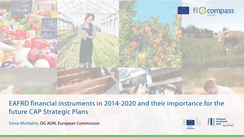 EAFRD financial instruments in 2014-2020 and their importance for the future CAP Strategic Plans EAFRD financial instruments in 2014-2020 and their importance for the future CAP Strategic Plans