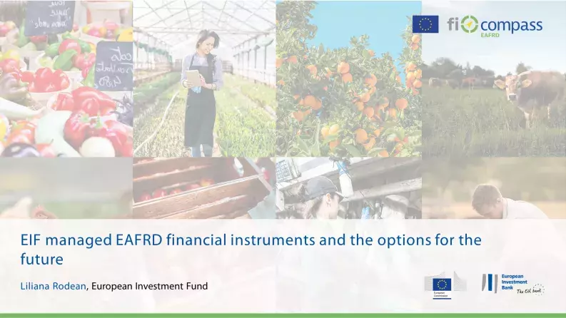EIF managed EAFRD financial instruments and the options for the future EIF managed EAFRD financial instruments and the options for the future