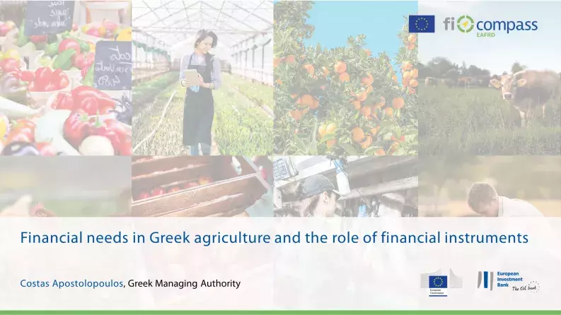 Financial needs in Greek agriculture and the role of financial instruments Financial needs in Greek agriculture and the role of financial instruments