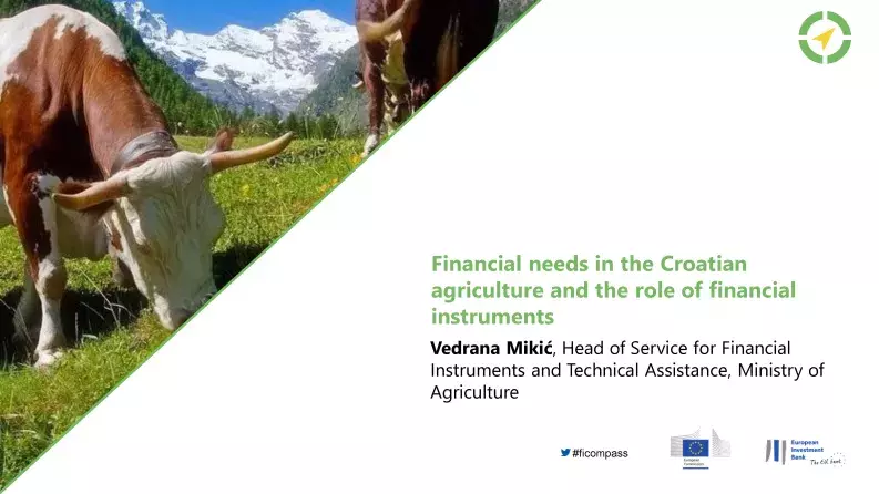 Financial needs in the Croatian agriculture and the role of financial instruments Financial needs in the Croatian agriculture and the role of financial instruments