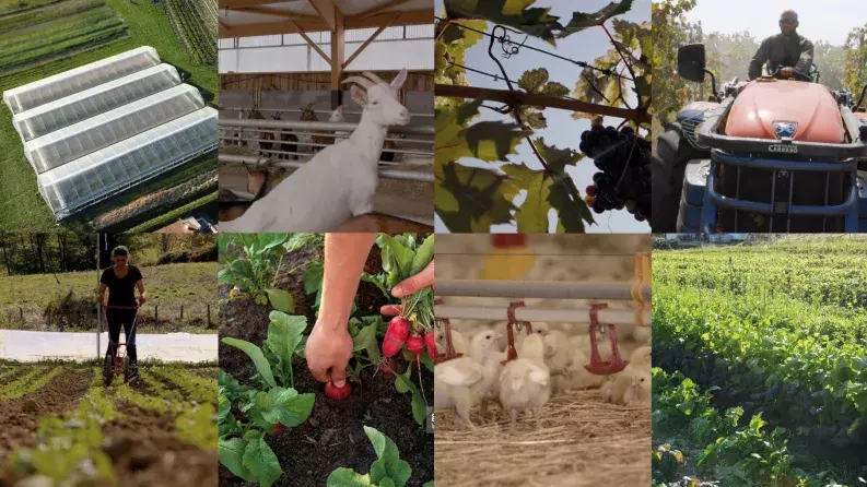 Access to finance for smaller farms in the EU