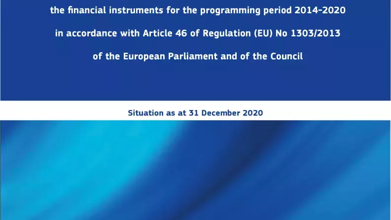 Summaries of the data on the progress made in financial instruments – Situation as at 31 December 2020