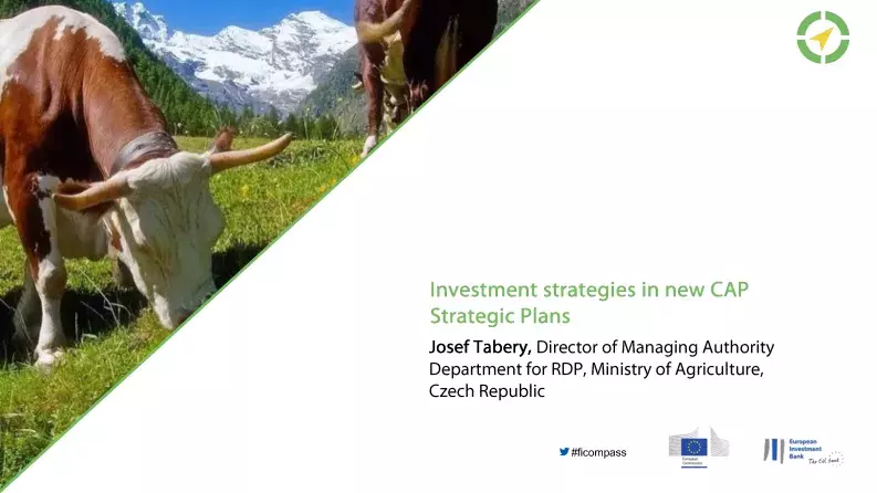 Investment strategies in new CAP Strategic Plans Investment strategies in new CAP Strategic Plans
