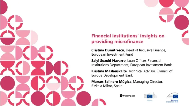Financial institutions’ insights on providing microfinance