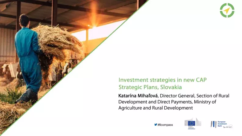 Investment strategies in new CAP Strategic Plans, Slovakia Investment strategies in new CAP Strategic Plans, Slovakia
