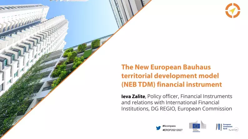The New European Bauhaus territorial development model (NEB TDM) financial instrument The New European Bauhaus territorial development model (NEB TDM) financial instrument