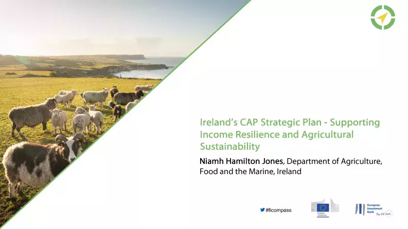 Ireland’s CAP Strategic Plan - Supporting Income Resilience and Agricultural Sustainability Ireland’s CAP Strategic Plan - Supporting Income Resilience and Agricultural Sustainability