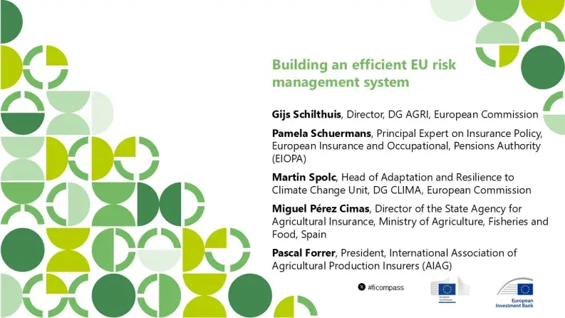 Building an efficient EU risk management system