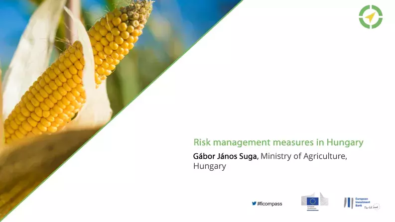 Risk management measures in Hungary Risk management measures in Hungary