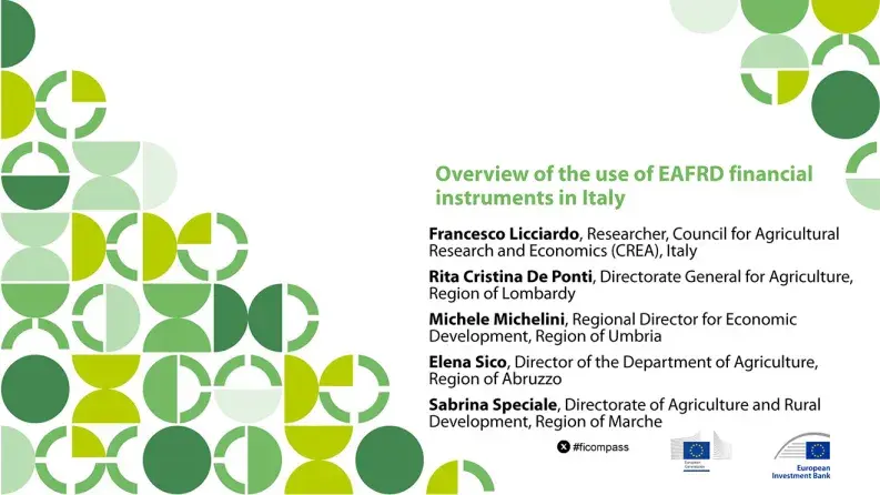 Overview of the use of EAFRD financial instruments in Italy
