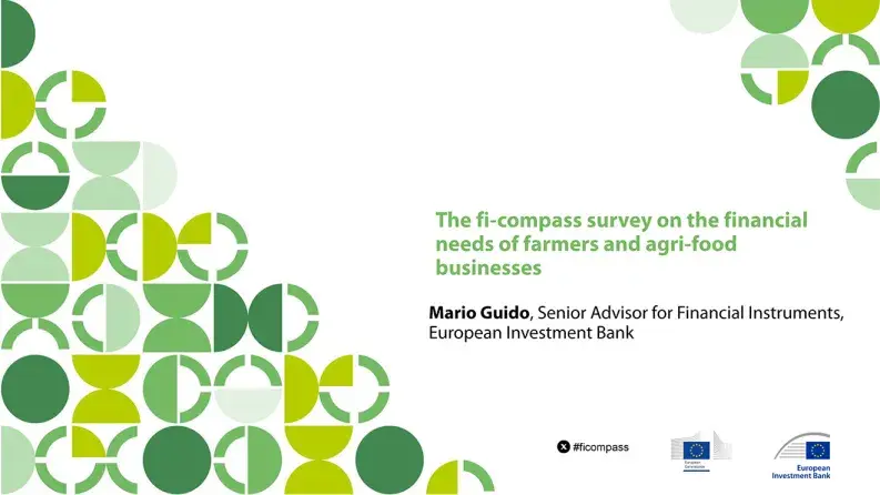 The fi-compass survey on the financial needs of farmers and agri-food businesses
