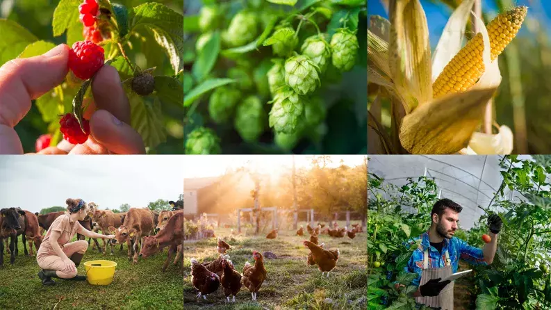 8th annual AGRI conference recording video thumbnail