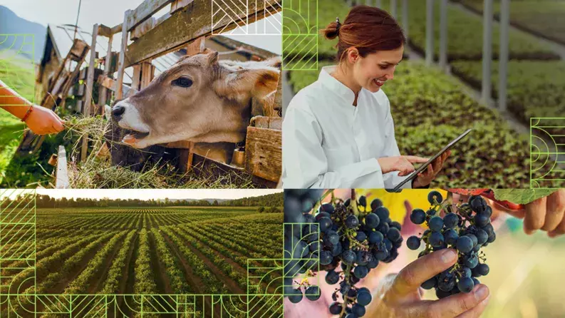 9th annual EU conference on EAFRD financial instruments video thumbnail