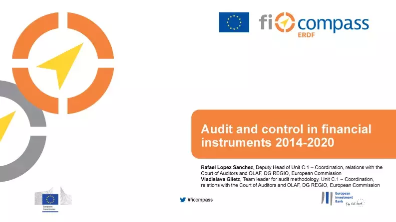 Audit and control in financial instruments 2014-2020
