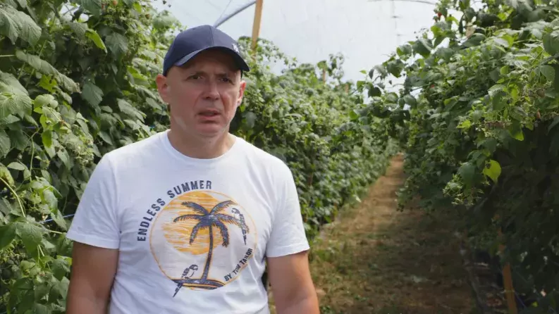 Pades berries video thumbnail