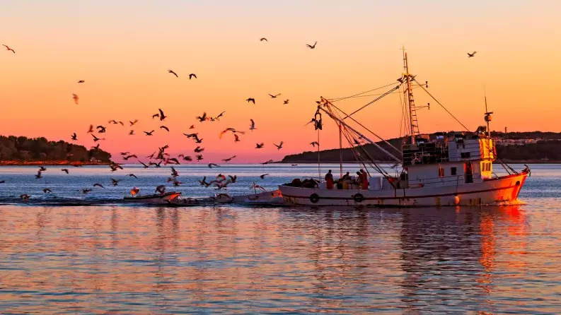 Technical meeting for Member States on EMFF/EMFAF financial instruments