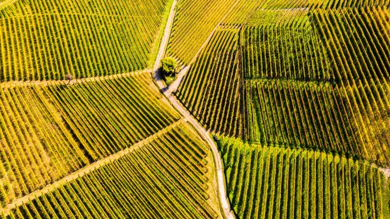 Common Agricultural Policy Strategic Plans