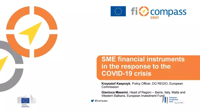 SME financial instruments in the response to the COVID-19 crisis SME financial instruments in the response to the COVID-19 crisis