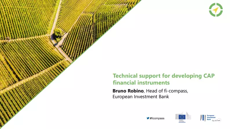 Technical support for developing CAP financial instruments Technical support for developing CAP financial instruments
