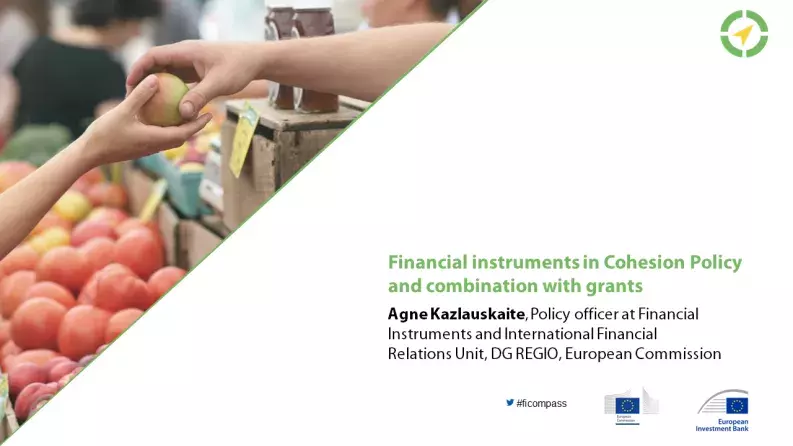 Financial instruments in Cohesion Policy and combination with grants Financial instruments in Cohesion Policy and combination with grants