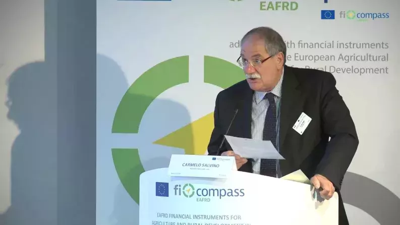 Carmelo Salvino, Fincalabra S.p.A.