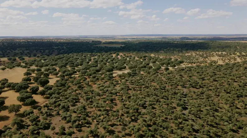 David's story: EAFRD financial instruments for entrepreneurial success