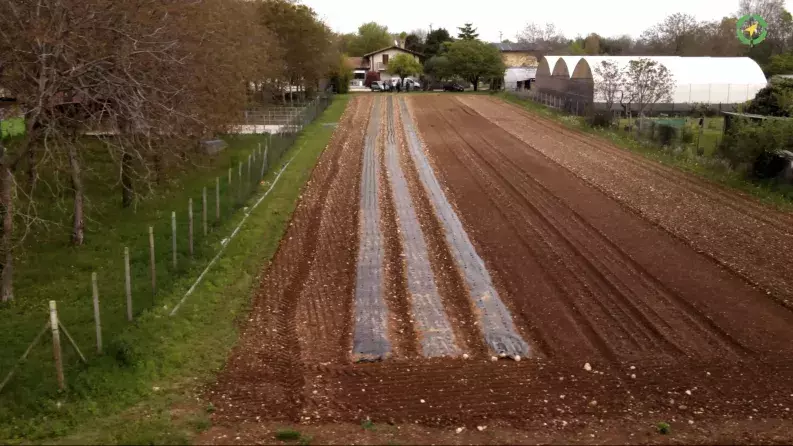 All’orto biologico: from land to your table All’orto biologico: from land to your table