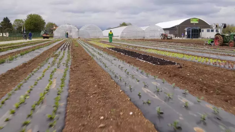 Fare Bio: An organic farming start-up Fare Bio: An organic farming start-up