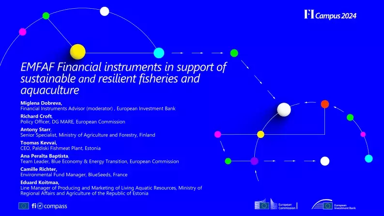 EMFAF Financial instruments in support of sustainable and resilient fisheries and aquaculture