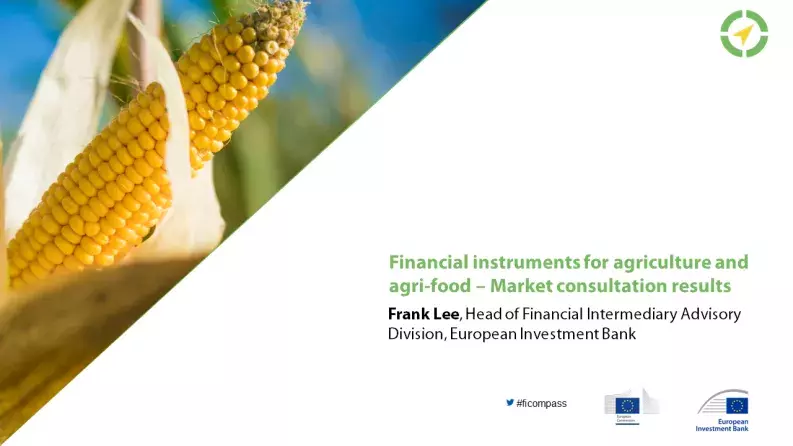 Financial instruments for agriculture and agri-food – Market consultation results Financial instruments for agriculture and agri-food – Market consultation results