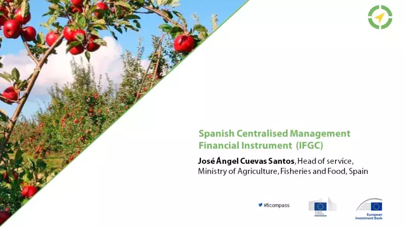 Spanish Centralised Management Financial Instrument (IFGC) Spanish Centralised Management Financial Instrument (IFGC)