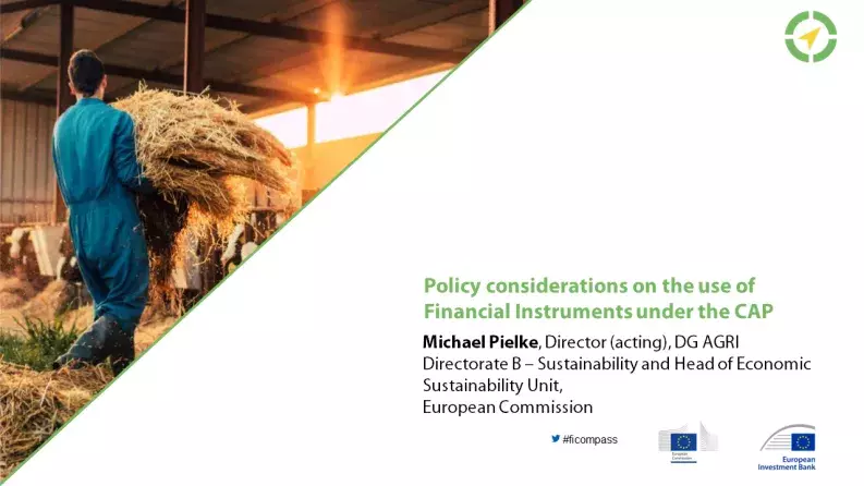 Policy considerations on the use of Financial Instruments under the CAP Policy considerations on the use of Financial Instruments under the CAP