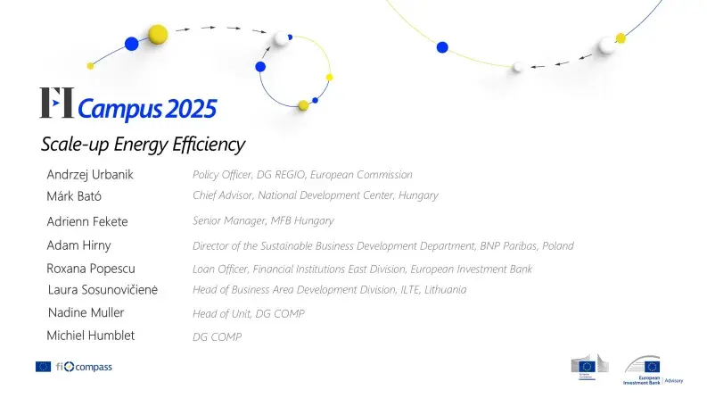 Scale-up Energy Efficiency
